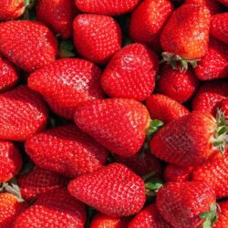 Frutillas Ultra Berries 1kg